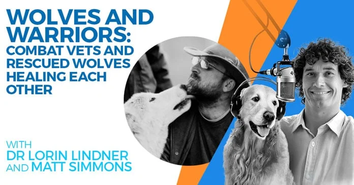Artwork for the Doggy Dan Podcast Show episode Wolves and Warriors, showing Dr Lorin Lindner and Matt Simmons with a wolf and a dog