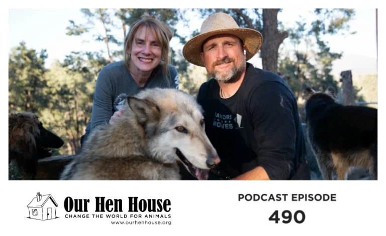 Our Hen House episode 490 artwork