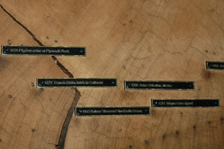 A polished cross-section of a redwood trunk with small labels pinned to individual growth rings marking historical dates.
