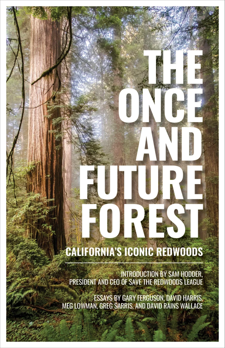 Front cover of The Once and Future Forest: California’s Iconic Redwoods, published by Heyday