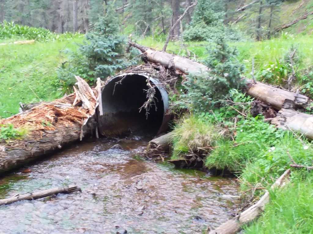 An old metal culvert sitting above the water at the end of a small stream, hemmed in by fallen logs and grass. Nobody is in the picture. It illustrates the kind of barrier this person's work removes and is not a picture of her or of her project.