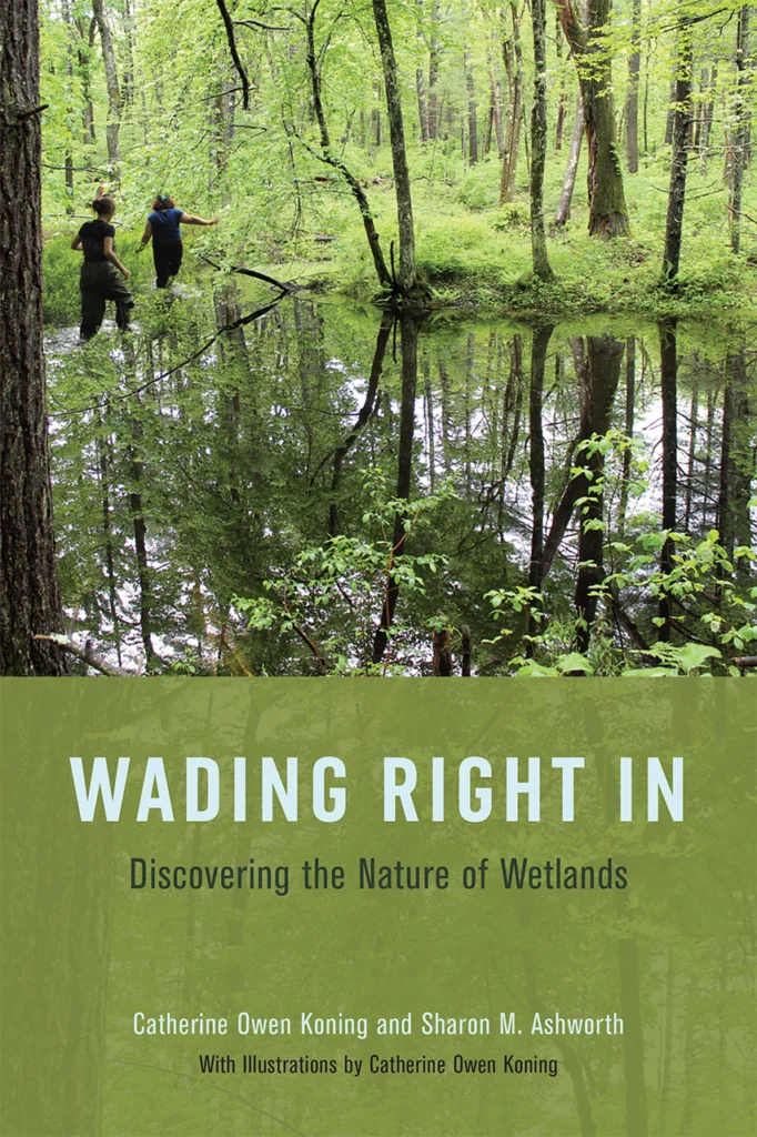 Front cover of Wading Right In, Discovering the Nature of Wetlands, by Catherine Owen Koning and Sharon M. Ashworth.