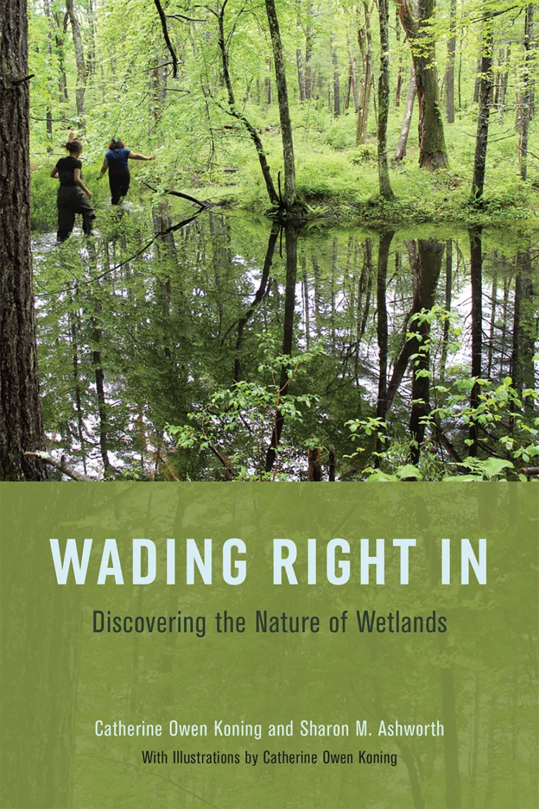Front cover of Wading Right In, Discovering the Nature of Wetlands, by Catherine Owen Koning and Sharon M. Ashworth.