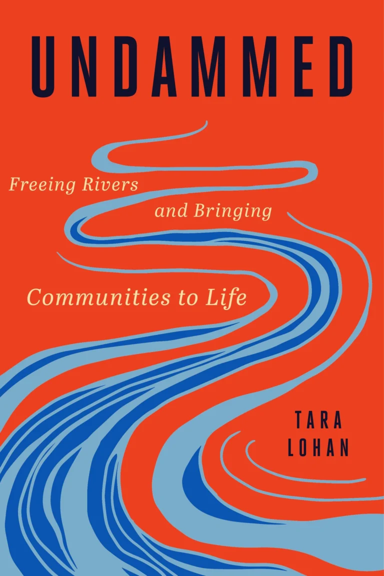 Front cover of Undammed by Tara Lohan. A blue river winds down an orange background, with the title in dark capital letters across the top.
