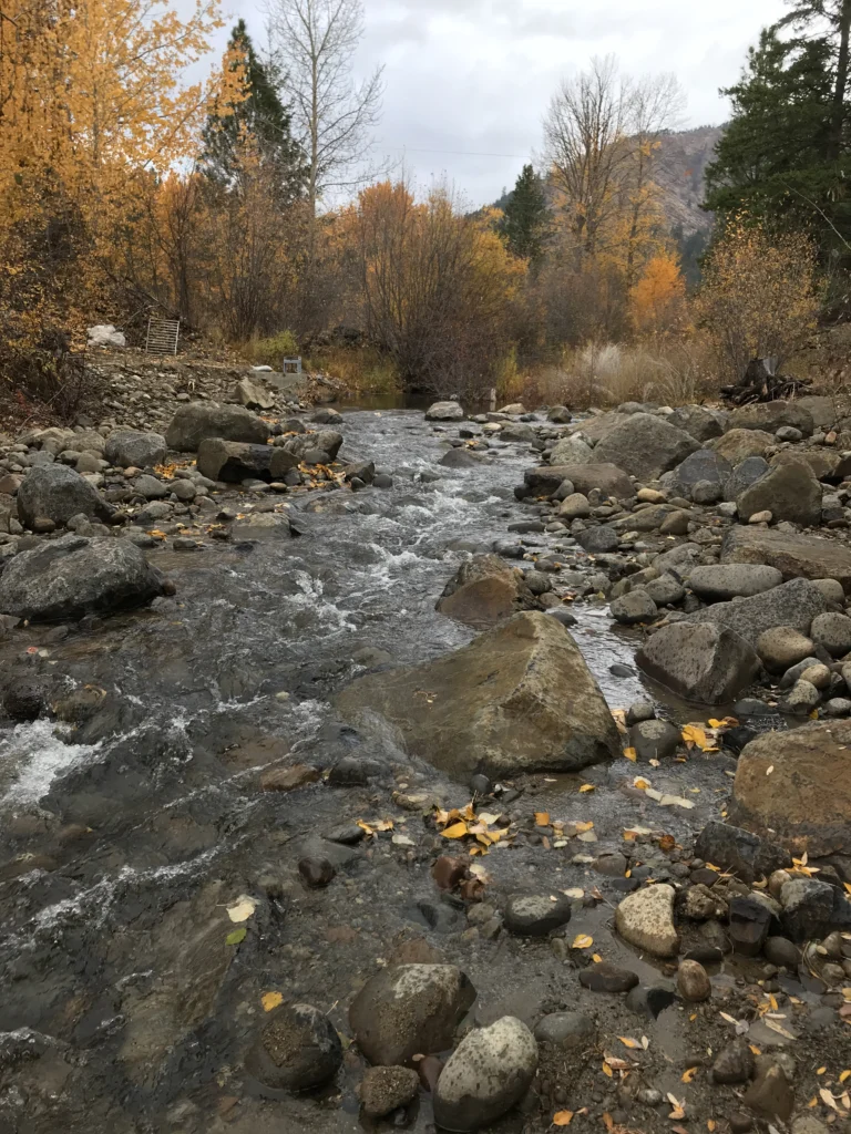 A rocky stream running between boulders through autumn trees, with a hillside behind. Nobody is in the picture. It illustrates the kind of water a spawning survey covers and is not a picture of this person or of any stream she works on.
