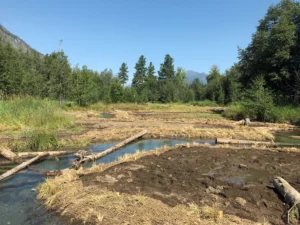 A newly rebuilt stream channel at Hancock Springs, with logs laid along fresh banks and bare soil either side. Nobody is in the picture. It illustrates the kind of habitat work described on this page and does not show this organization or its staff.