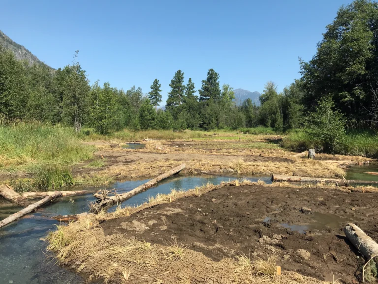 A newly rebuilt stream channel at Hancock Springs, with logs laid along fresh banks and bare soil either side. Nobody is in the picture. It illustrates the kind of habitat work described on this page and does not show this organization or its staff.