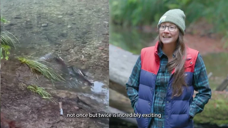 Split frame from the film. On the left a salmon lies in a shallow gravel stream. On the right a woman in a knit cap, glasses and a down vest stands beside a fallen log, with the on-screen caption not once but twice is incredibly exciting.